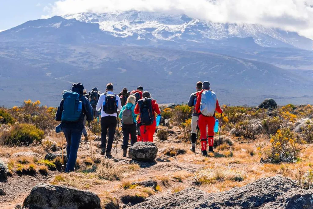Rongai Climbing Kilimanjaro