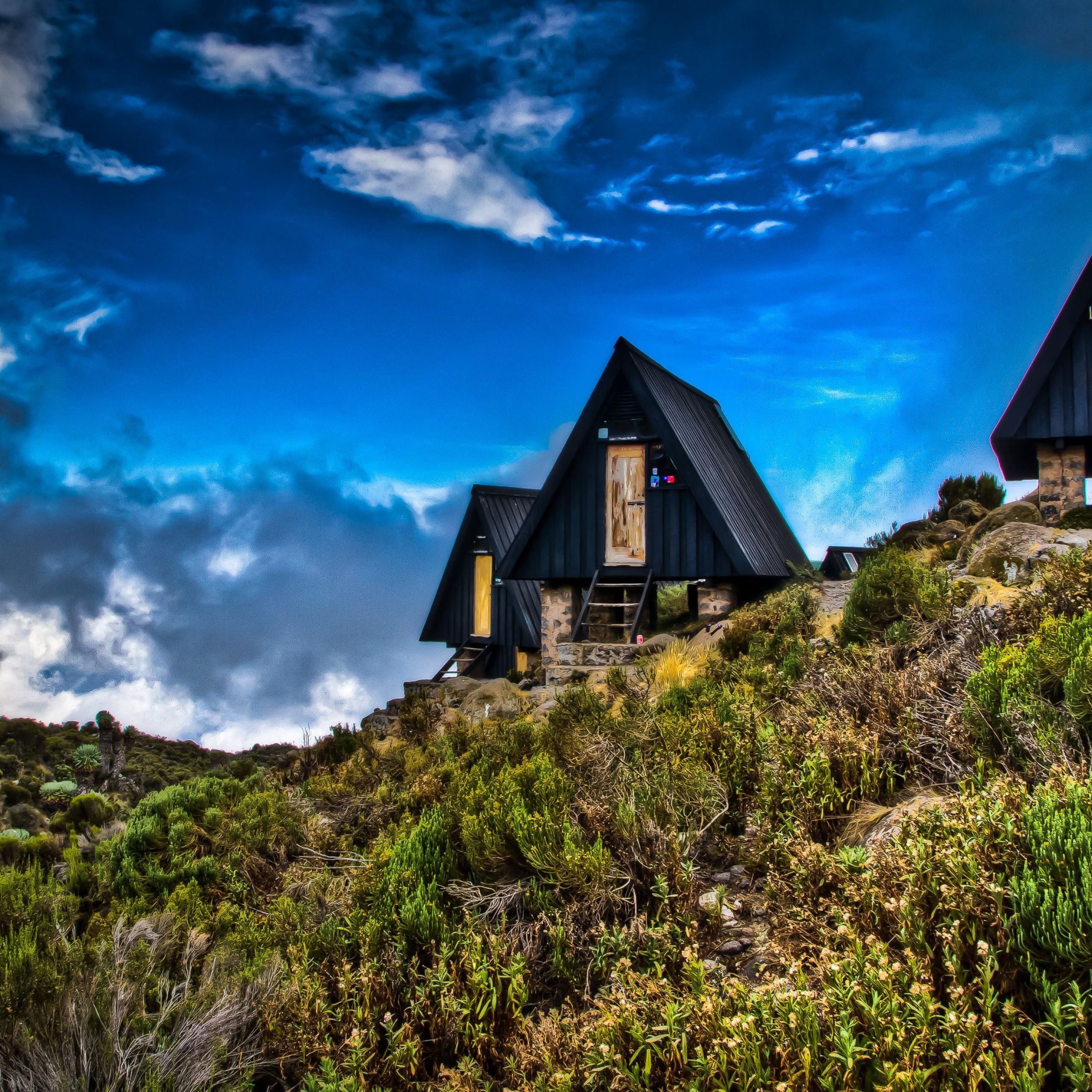 Read more about the article 6 Days Marangu Route Kilimanjaro Trekking